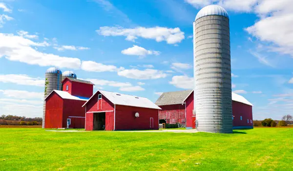 Red barns and a silo on a farm